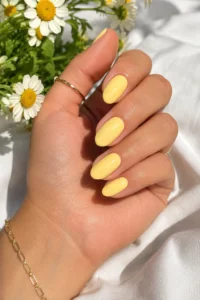 15. Butter Yellow